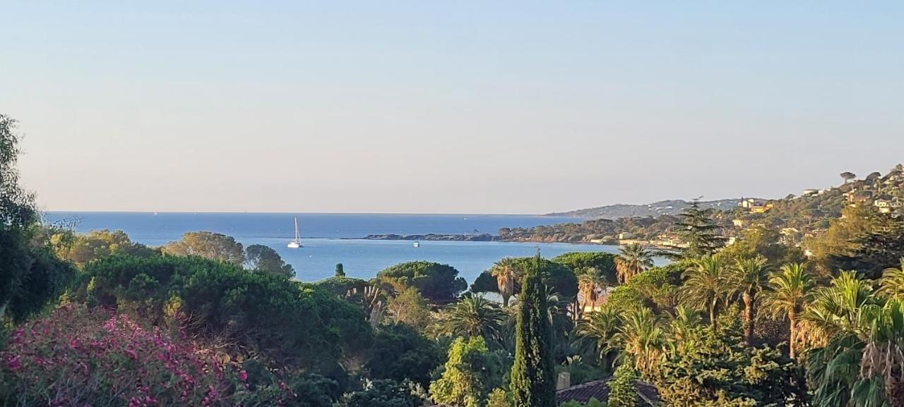 סן-מקסים Larimar Etablissement- 200 M De La Mer מראה חיצוני תמונה
